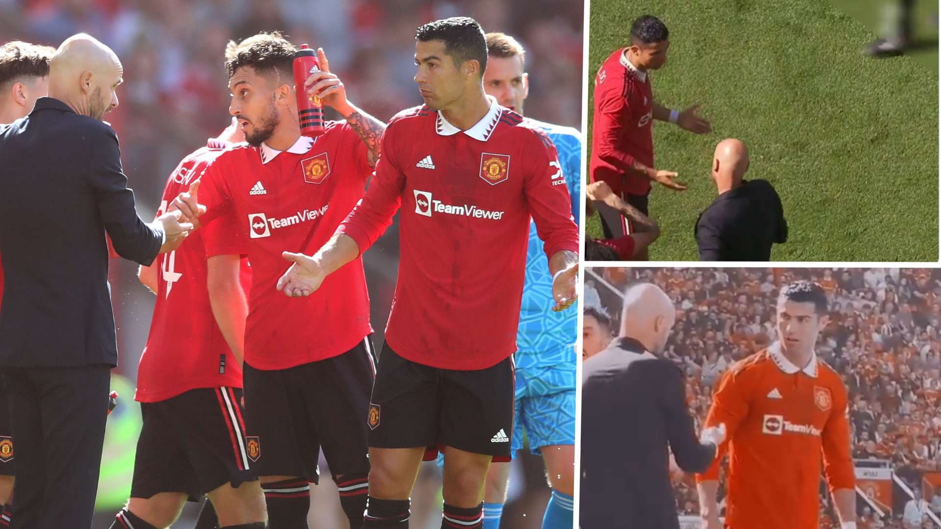 正是他们多 正是他们多