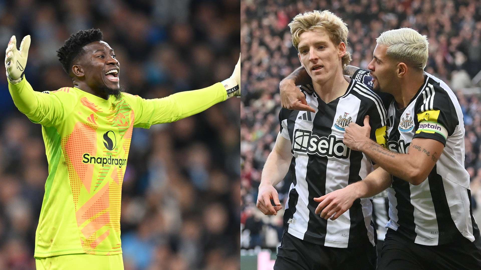 正是他们多 正是他们多