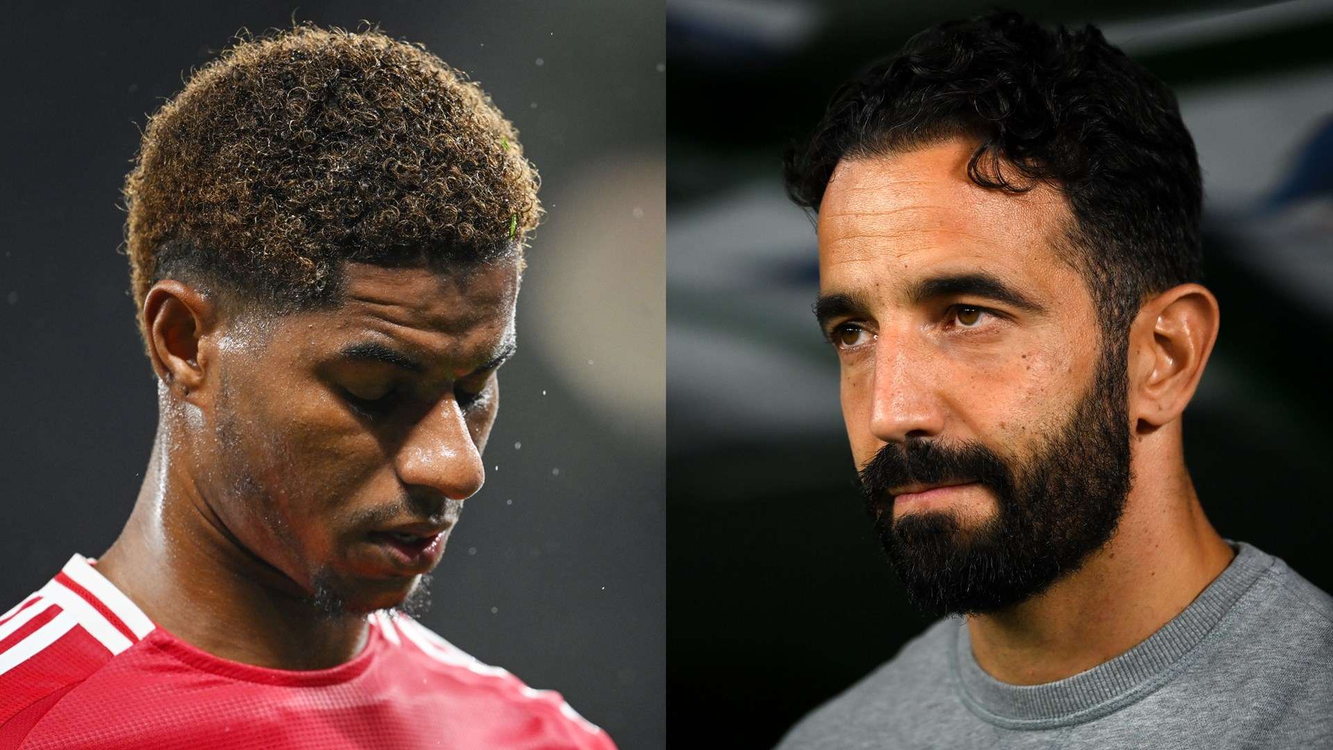 这正是项目 这正是项目